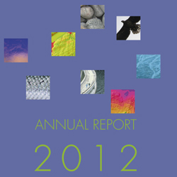 CEDRENs årsrapport for 2012 er utarbeidet